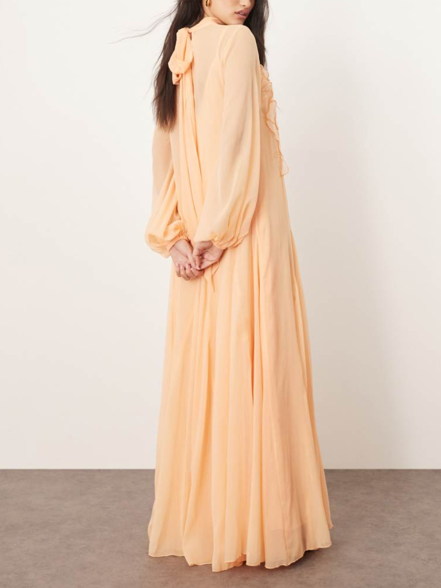 Apricot Blossom Floral Applied Chiffon Maxi Dress