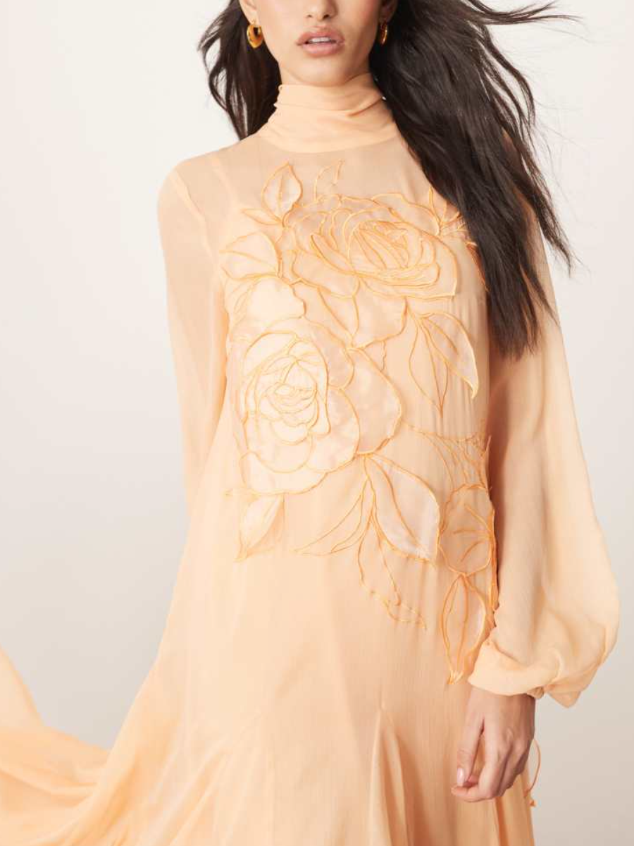 Apricot Blossom Floral Applied Chiffon Maxi Dress